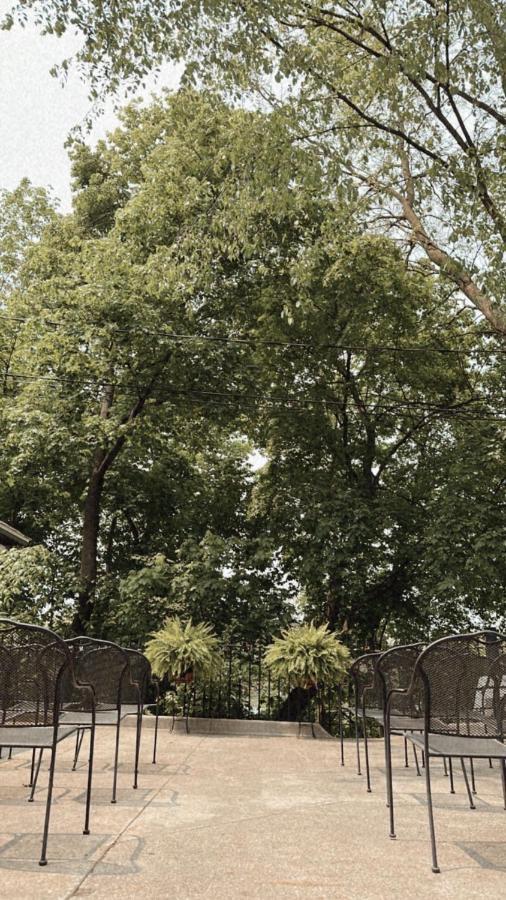 Bed and Breakfast The Ginkgo Tree Mount Pleasant Exterior foto